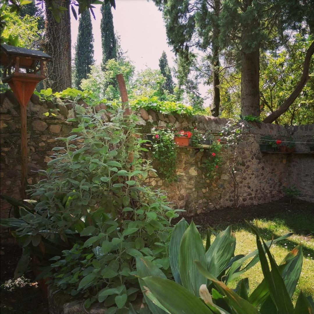 La Casa Di Marzia Apartment Bardolino Luaran gambar